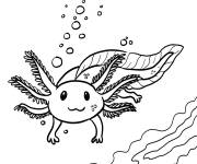 Coloriage Axolotl en te regardant