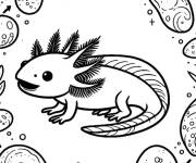 Coloriage Axolotl entour&eacute; par des rochers