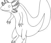 Coloriage Axolotl facile avec des branchies