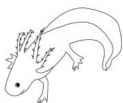 Coloriage et dessins gratuit Axolotl facile pour enfant à imprimer