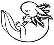 Coloriage Axolotl imprimable