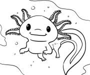 Coloriage Axolotl imprimable PS