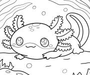 Coloriage Axolotl kawaii se repose