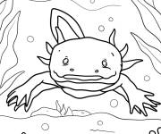 Coloriage Axolotl nageant parmi les feuilles