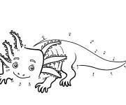 Coloriage Axolotl par points &agrave; relier
