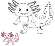 Coloriage Axolotl point par point avec mod&egrave;le en couleurs
