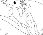 Coloriage et dessins gratuit Axolotl pour les toddlers à imprimer