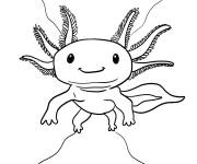 Coloriage Axolotl qui explore le fond