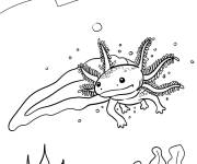 Coloriage Axolotl qui nage parmi les feuilles et les coraux