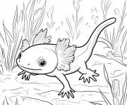 Coloriage Axolotl qui sait bien nager