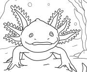 Coloriage Axolotl r&eacute;aliste sous la mer