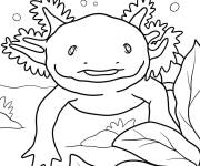 Coloriage Axolotl se cachant
