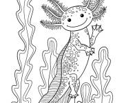 Coloriage Axolotl sociable