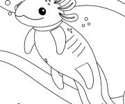 Coloriage Axolotl souriant