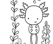 Coloriage Axolotl Squishmallow