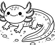 Coloriage Axolotl sur la terre