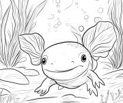 Coloriage Axolotl te regardant pour les petits