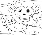 Coloriage et dessins gratuit Axolotl  timide à imprimer