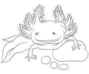 Coloriage Axolotl trop adorable