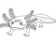 Coloriage Axolotl unique
