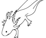 Coloriage et dessins gratuit Axolotl vue de haut à imprimer