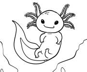 Coloriage B&eacute;b&eacute; Axolotl