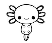 Coloriage et dessins gratuit B&eacute;b&eacute; Axolotl adorable à imprimer