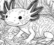 Coloriage Coloration Axolotl