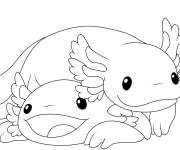 Coloriage Deux Axolotl