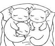 Coloriage Famille Axolotl endormi