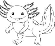 Coloriage Gros Axolotl rigolo
