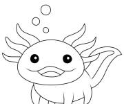 Coloriage Illustration Axolotl