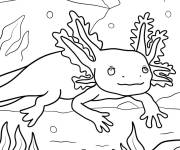 Coloriage Large Axolotl dans le fond de mer
