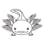 Coloriage Les branchies d'Axolotl