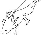 Coloriage et dessins gratuit Mod&egrave;le Axolotl à imprimer