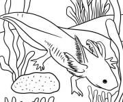 Coloriage Paysage Axolotl en ligne