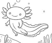 Coloriage Petit Axolotl calme sous la mer