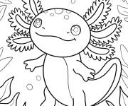 Coloriage Petit Axolotl mignon