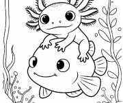 Coloriage Petit Axolotl sur le poisson