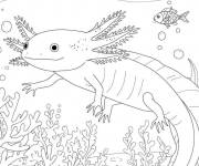 Coloriage Sc&egrave;ne de Axolotl avec des poissons