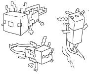 Coloriage Trois Axolotls Minecraft