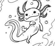 Coloriage Un Axolotl d&eacute;tendu