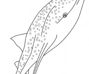Coloriage et dessins gratuit Baleine dans la mer à imprimer