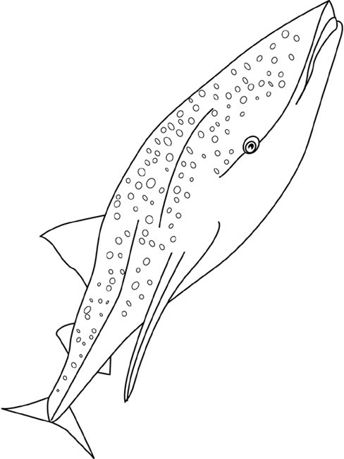Coloriage et dessins gratuits Baleine dans la mer à imprimer