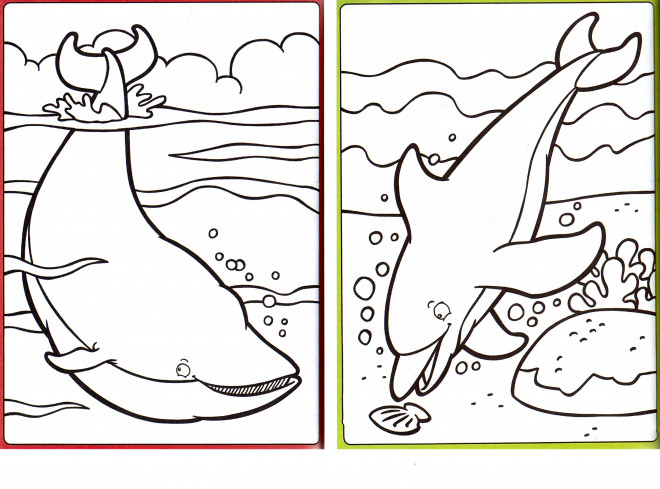 Coloriage et dessins gratuits Baleine et Dauphin à imprimer