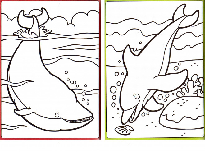 Coloriage Baleine Et Dauphin Dessin Gratuit à Imprimer