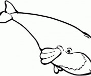 Coloriage et dessins gratuit Baleine simple à imprimer
