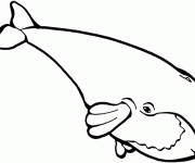 Coloriage Baleine simple