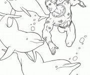 Coloriage et dessins gratuit Superman et les Dauphins à imprimer