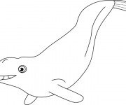 Coloriage et dessins gratuit Beluga maternelle à imprimer
